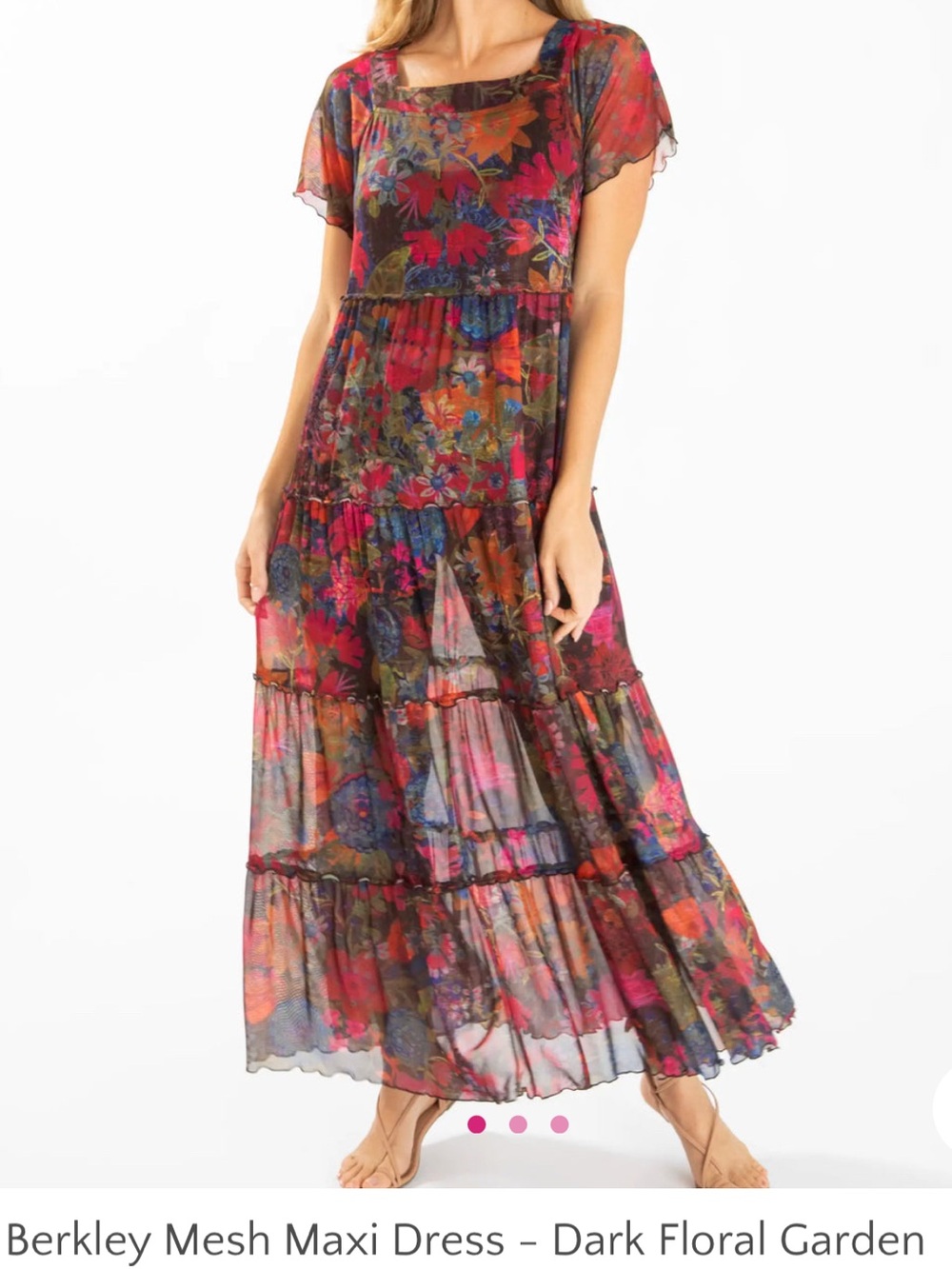 Natural Life Berkley Mesh Garden Floral Sheer Maxi Dress
